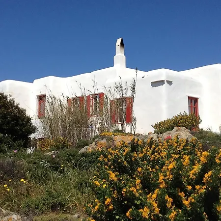 Halara * 阿诺梅拉